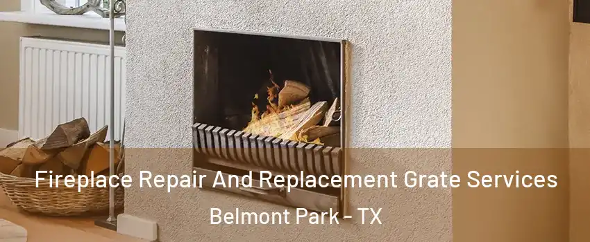 Fireplace Repair And Replacement Grate Services Belmont Park - TX