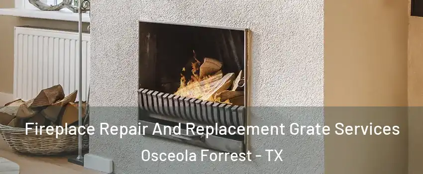 Fireplace Repair And Replacement Grate Services Osceola Forrest - TX