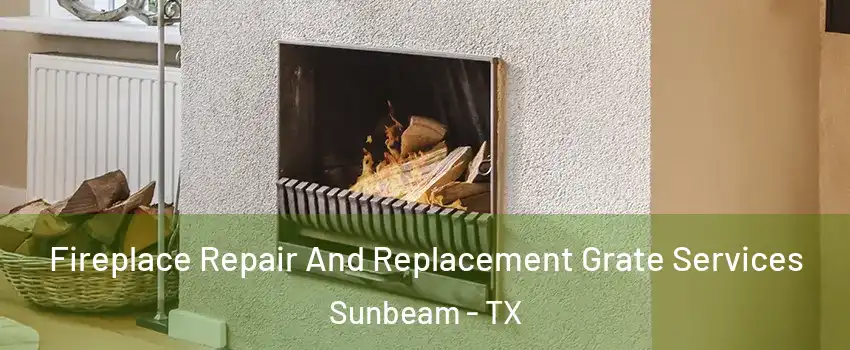 Fireplace Repair And Replacement Grate Services Sunbeam - TX