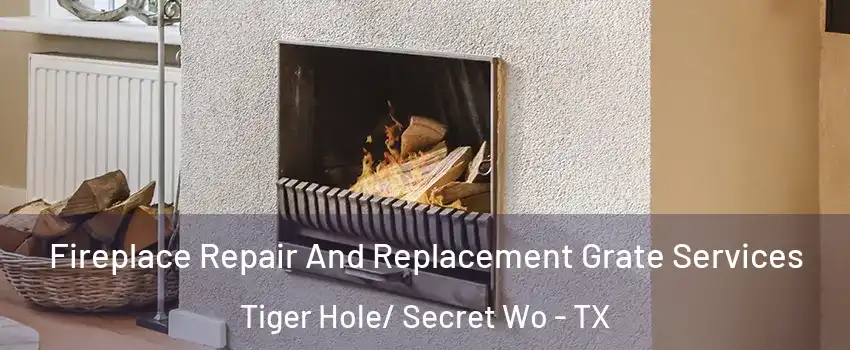 Fireplace Repair And Replacement Grate Services Tiger Hole/ Secret Wo - TX