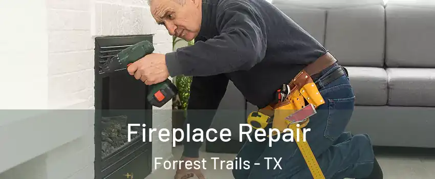 Fireplace Repair Forrest Trails - TX