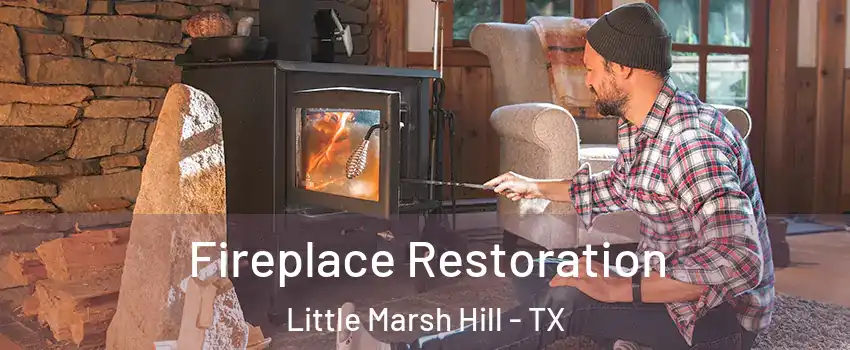 Fireplace Restoration Little Marsh Hill - TX