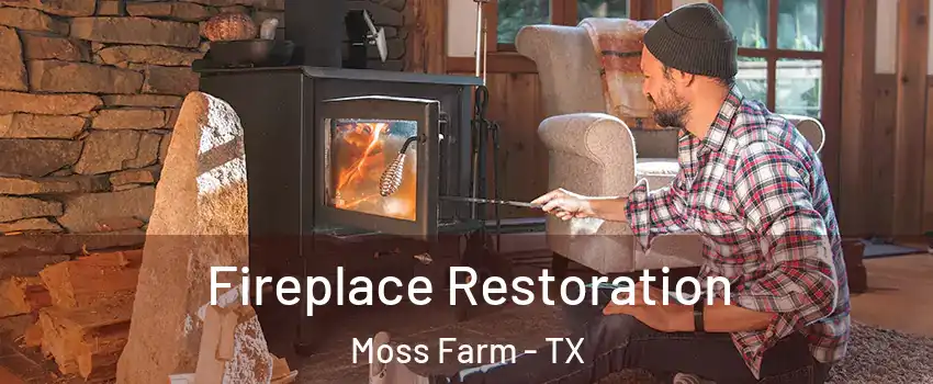 Fireplace Restoration Moss Farm - TX