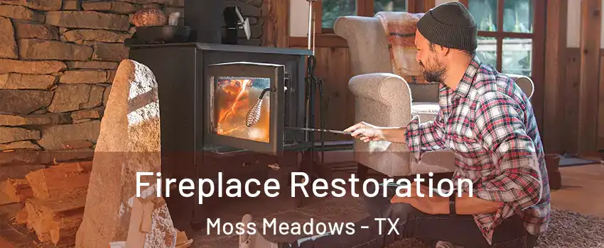 Fireplace Restoration Moss Meadows - TX