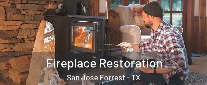 Fireplace Restoration San Jose Forrest - TX