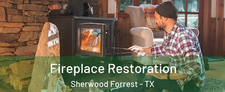 Fireplace Restoration Sherwood Forrest - TX