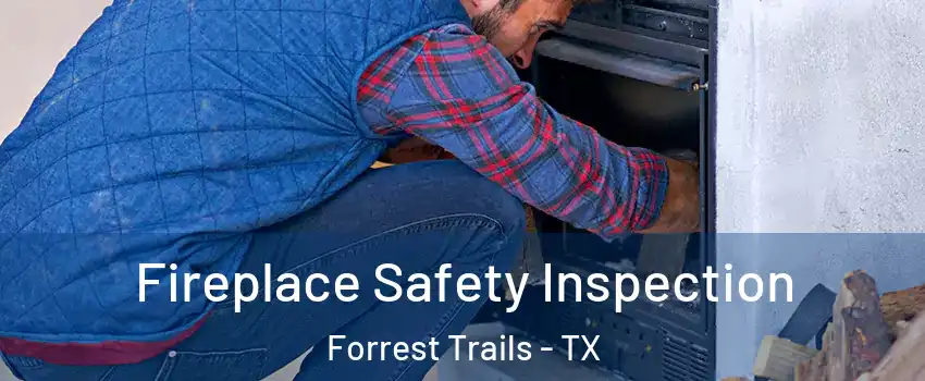 Fireplace Safety Inspection Forrest Trails - TX