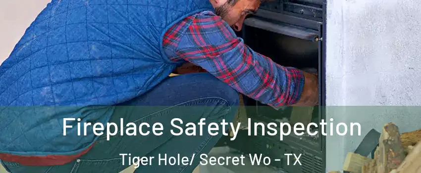 Fireplace Safety Inspection Tiger Hole/ Secret Wo - TX