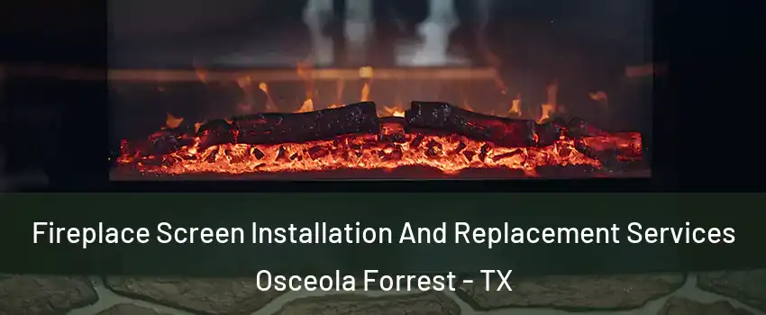 Fireplace Screen Installation And Replacement Services Osceola Forrest - TX