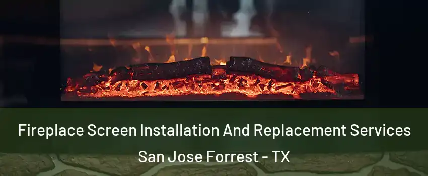 Fireplace Screen Installation And Replacement Services San Jose Forrest - TX