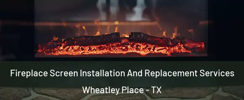 Fireplace Screen Installation And Replacement Services Wheatley Place - TX