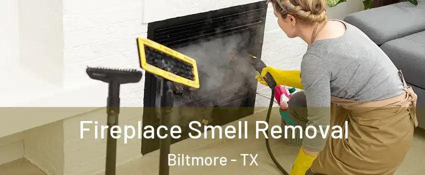 Fireplace Smell Removal Biltmore - TX