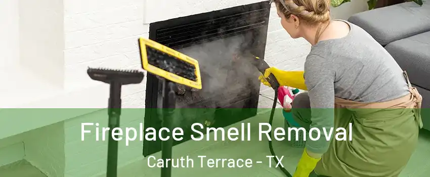 Fireplace Smell Removal Caruth Terrace - TX