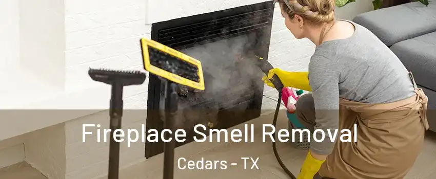 Fireplace Smell Removal Cedars - TX