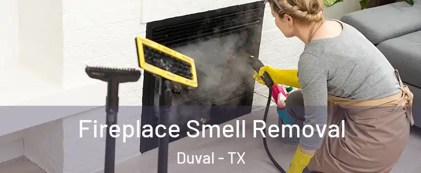 Fireplace Smell Removal Duval - TX