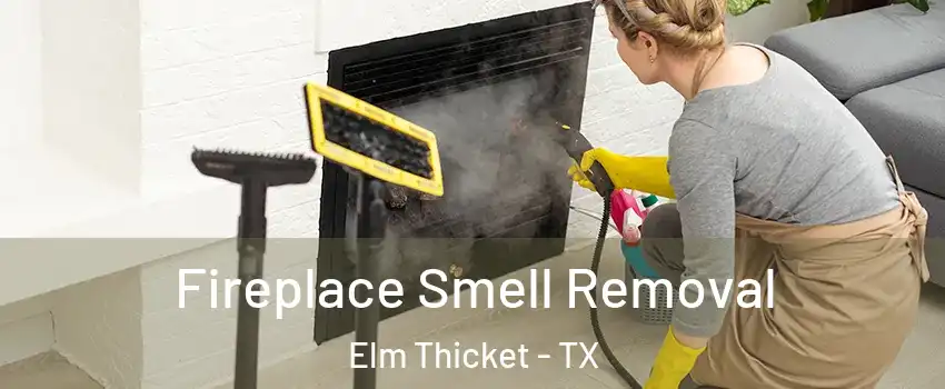 Fireplace Smell Removal Elm Thicket - TX