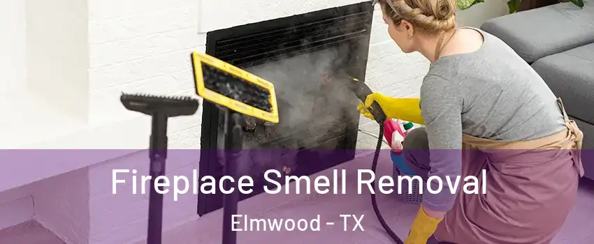 Fireplace Smell Removal Elmwood - TX