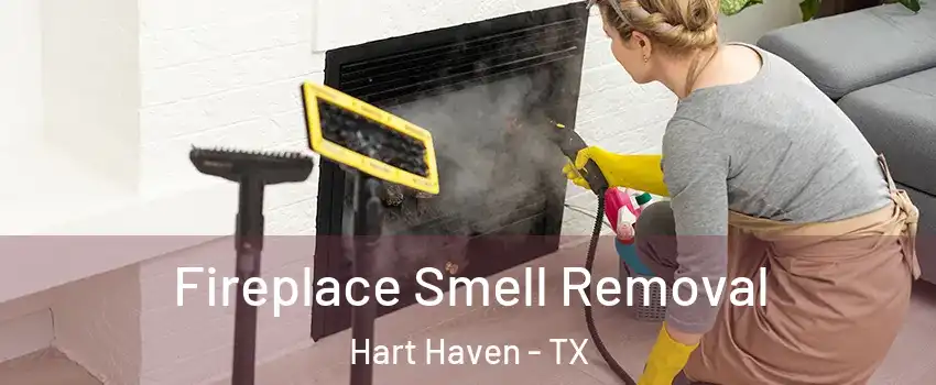 Fireplace Smell Removal Hart Haven - TX