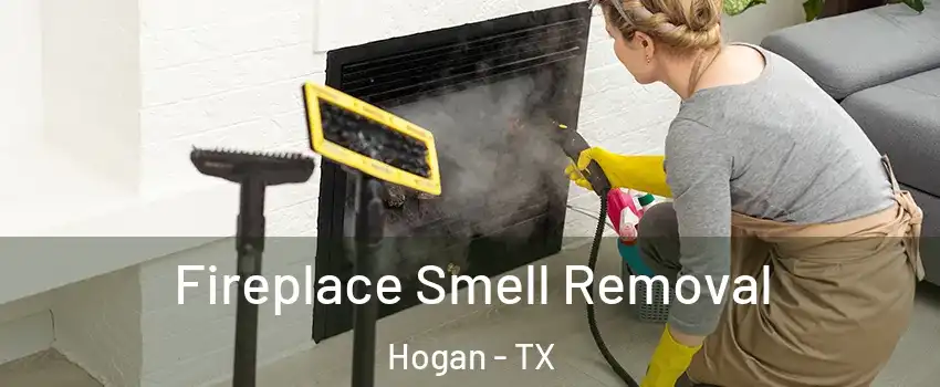 Fireplace Smell Removal Hogan - TX