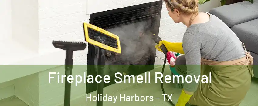 Fireplace Smell Removal Holiday Harbors - TX