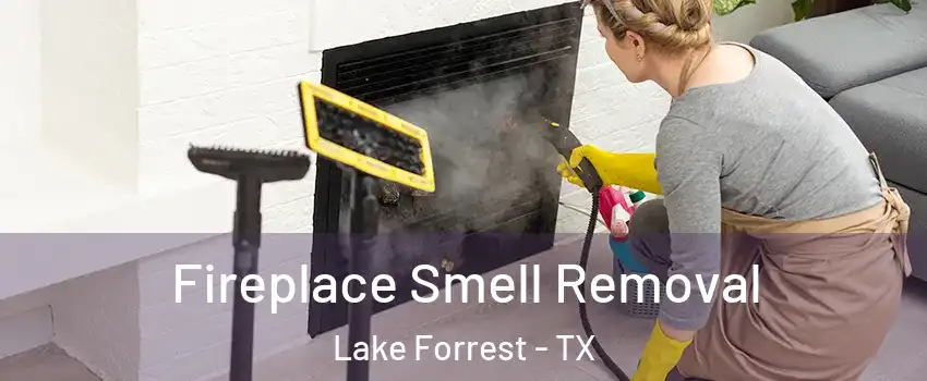 Fireplace Smell Removal Lake Forrest - TX