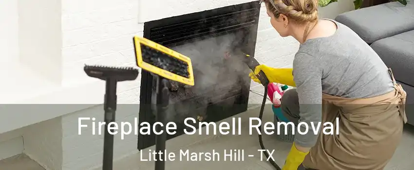 Fireplace Smell Removal Little Marsh Hill - TX