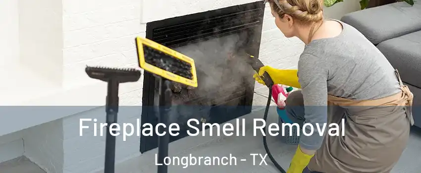 Fireplace Smell Removal Longbranch - TX