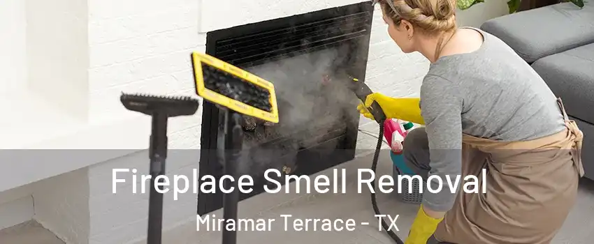 Fireplace Smell Removal Miramar Terrace - TX