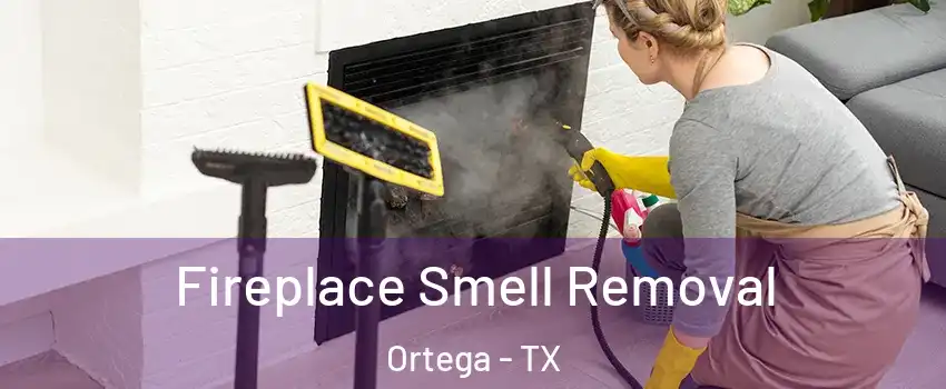 Fireplace Smell Removal Ortega - TX