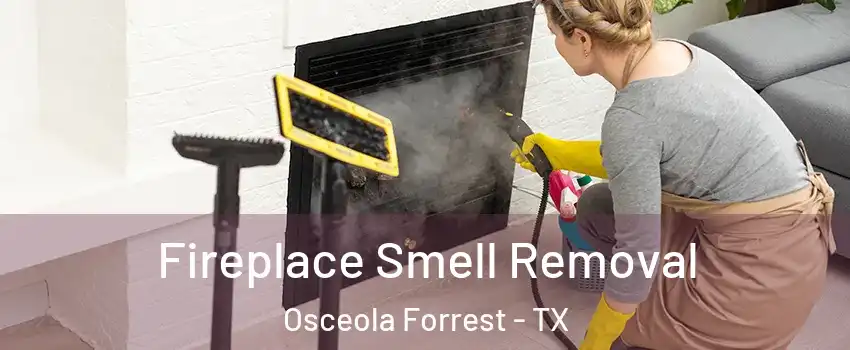 Fireplace Smell Removal Osceola Forrest - TX