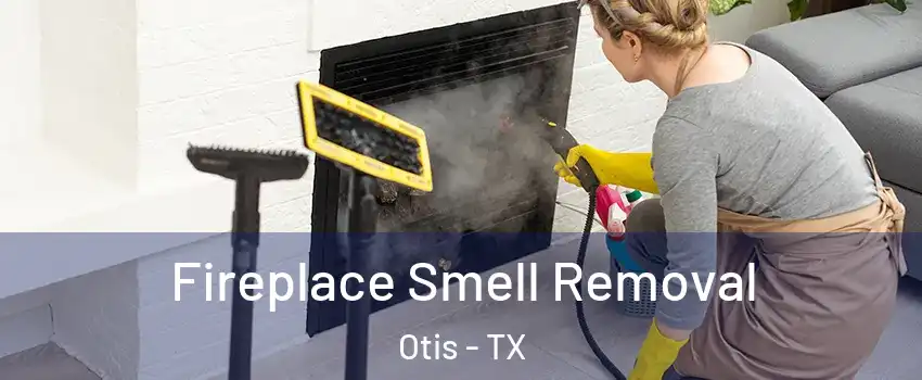 Fireplace Smell Removal Otis - TX