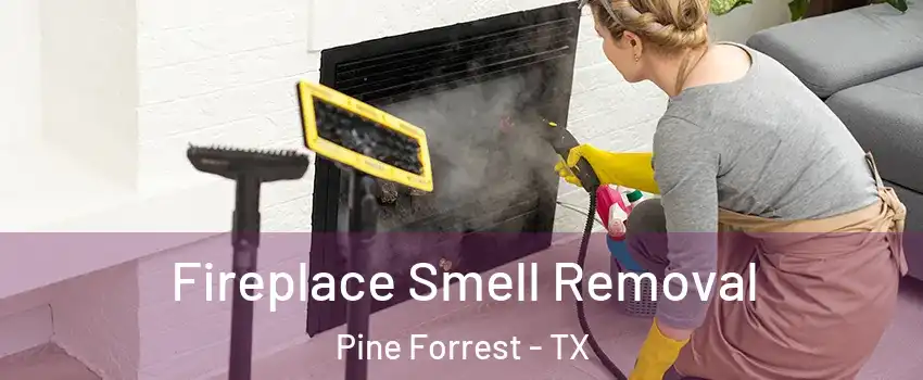 Fireplace Smell Removal Pine Forrest - TX