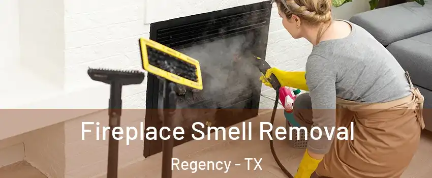 Fireplace Smell Removal Regency - TX