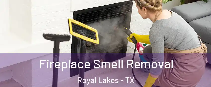 Fireplace Smell Removal Royal Lakes - TX