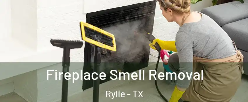 Fireplace Smell Removal Rylie - TX