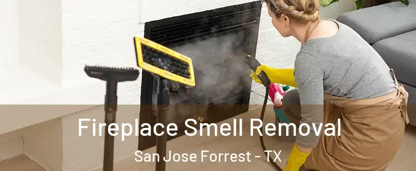 Fireplace Smell Removal San Jose Forrest - TX