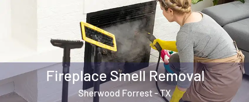 Fireplace Smell Removal Sherwood Forrest - TX