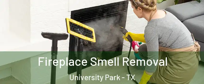 Fireplace Smell Removal University Park - TX