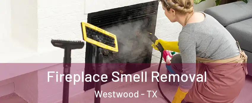 Fireplace Smell Removal Westwood - TX