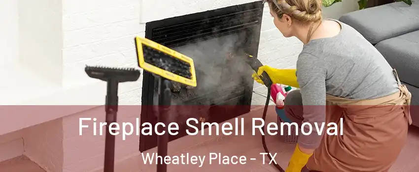 Fireplace Smell Removal Wheatley Place - TX