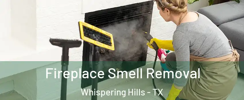 Fireplace Smell Removal Whispering Hills - TX