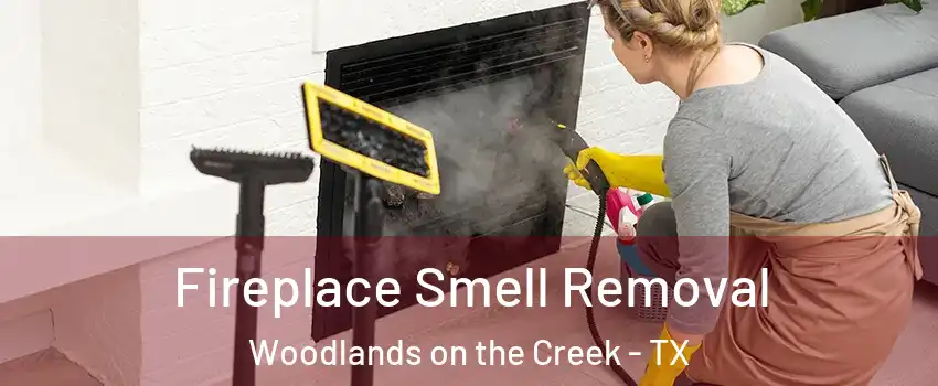 Fireplace Smell Removal Woodlands on the Creek - TX