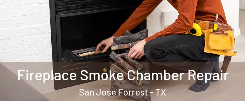 Fireplace Smoke Chamber Repair San Jose Forrest - TX