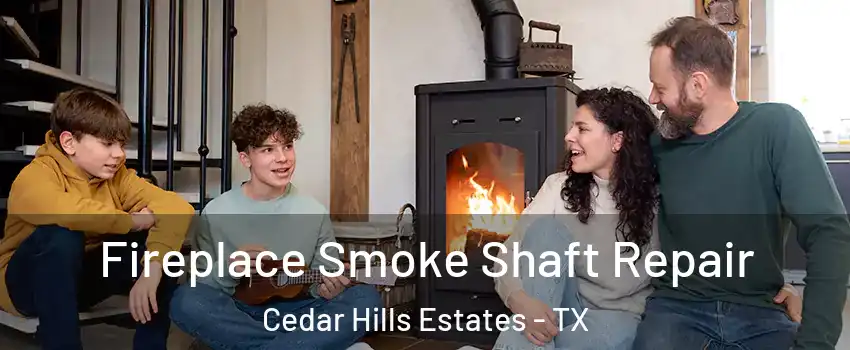 Fireplace Smoke Shaft Repair Cedar Hills Estates - TX