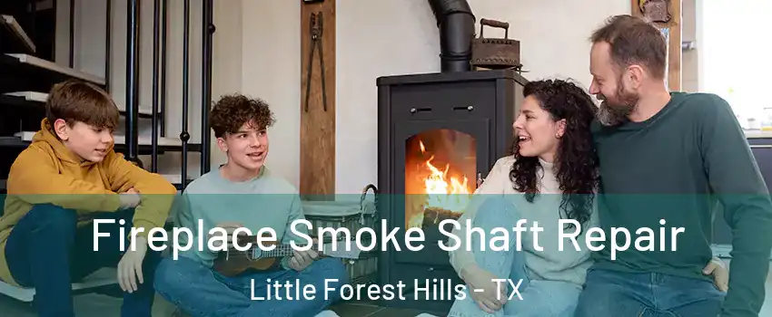 Fireplace Smoke Shaft Repair Little Forest Hills - TX