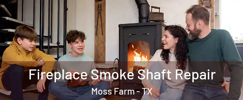 Fireplace Smoke Shaft Repair Moss Farm - TX