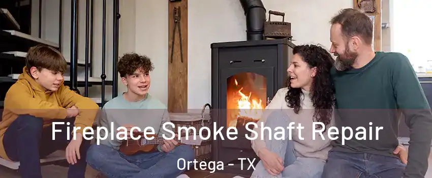 Fireplace Smoke Shaft Repair Ortega - TX