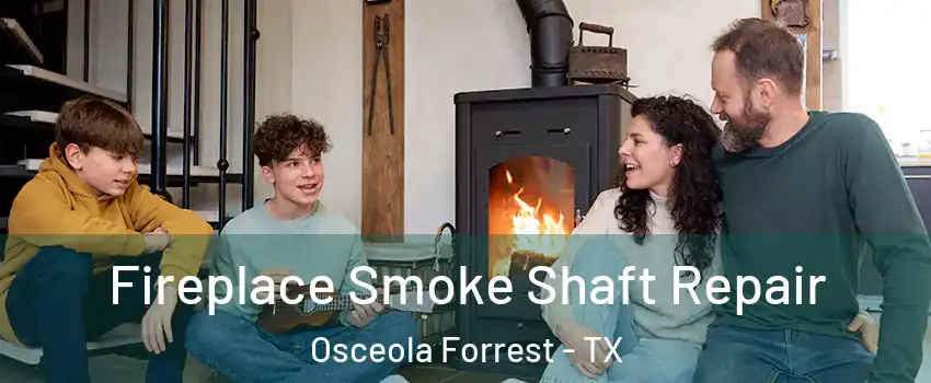 Fireplace Smoke Shaft Repair Osceola Forrest - TX