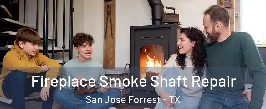 Fireplace Smoke Shaft Repair San Jose Forrest - TX