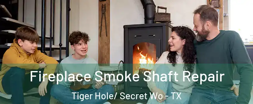 Fireplace Smoke Shaft Repair Tiger Hole/ Secret Wo - TX